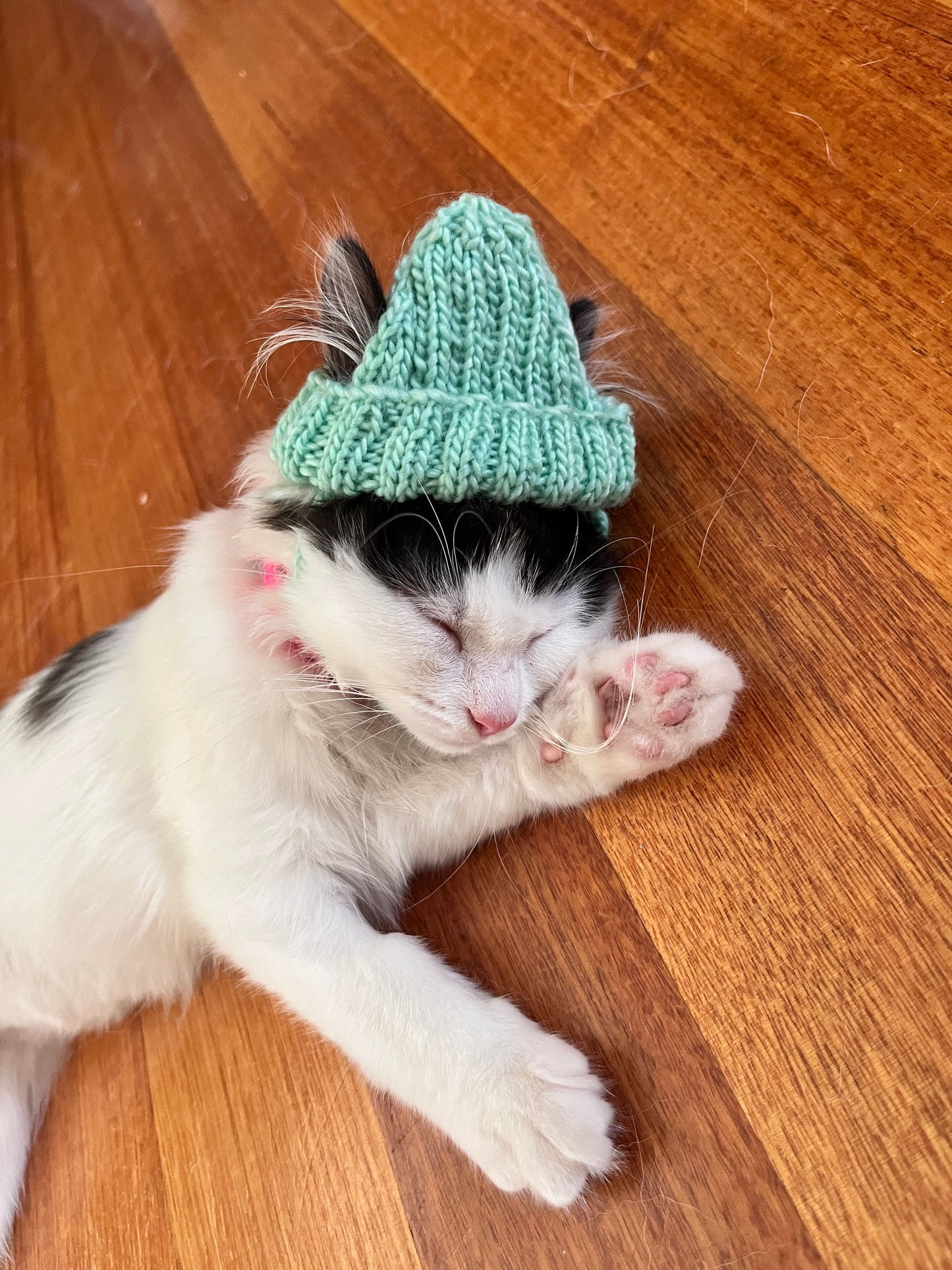 Cat Hipster Beanie